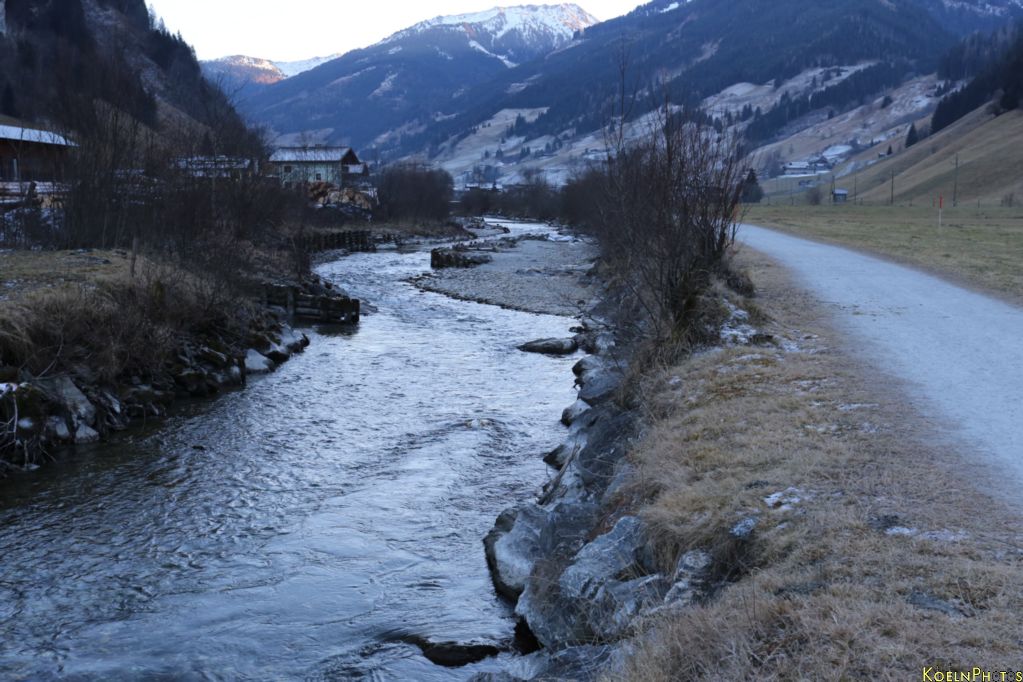 Bild IMG_3563.jpg wird geladen...