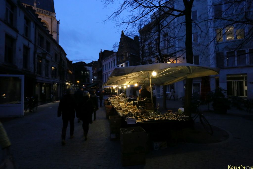 Bild IMG_7008.jpg wird geladen...