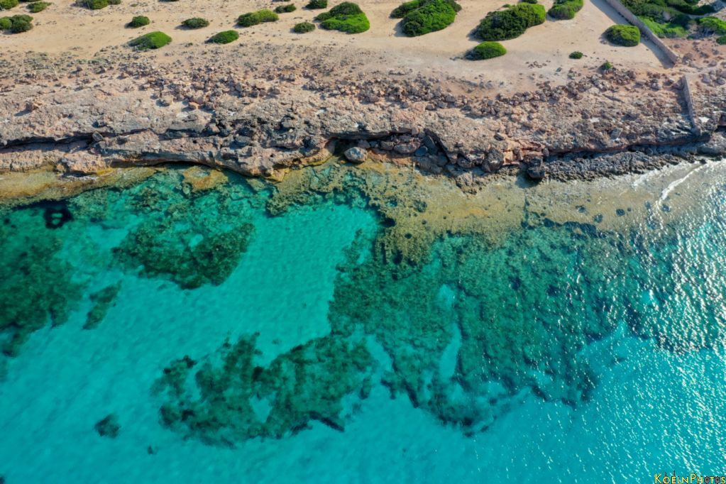 Bild mallorca_2019_151.jpg wird geladen...